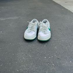 Nike Dunks 