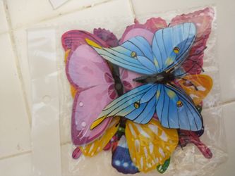 New Butterfly magnets
