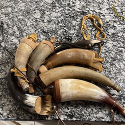 Polished Bull Horns
