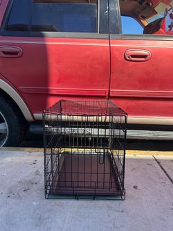 Medium Size Cage