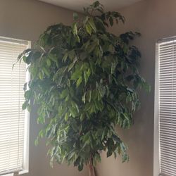 Artificial Tree
