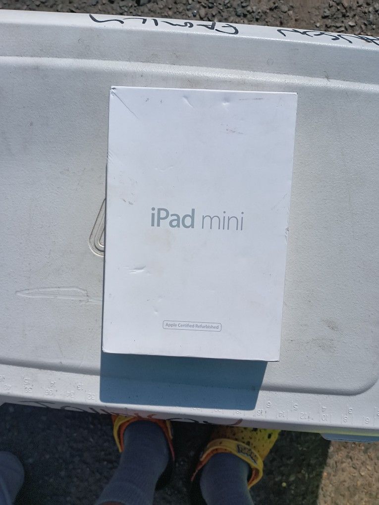 iPad mini