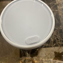 Google Nest 