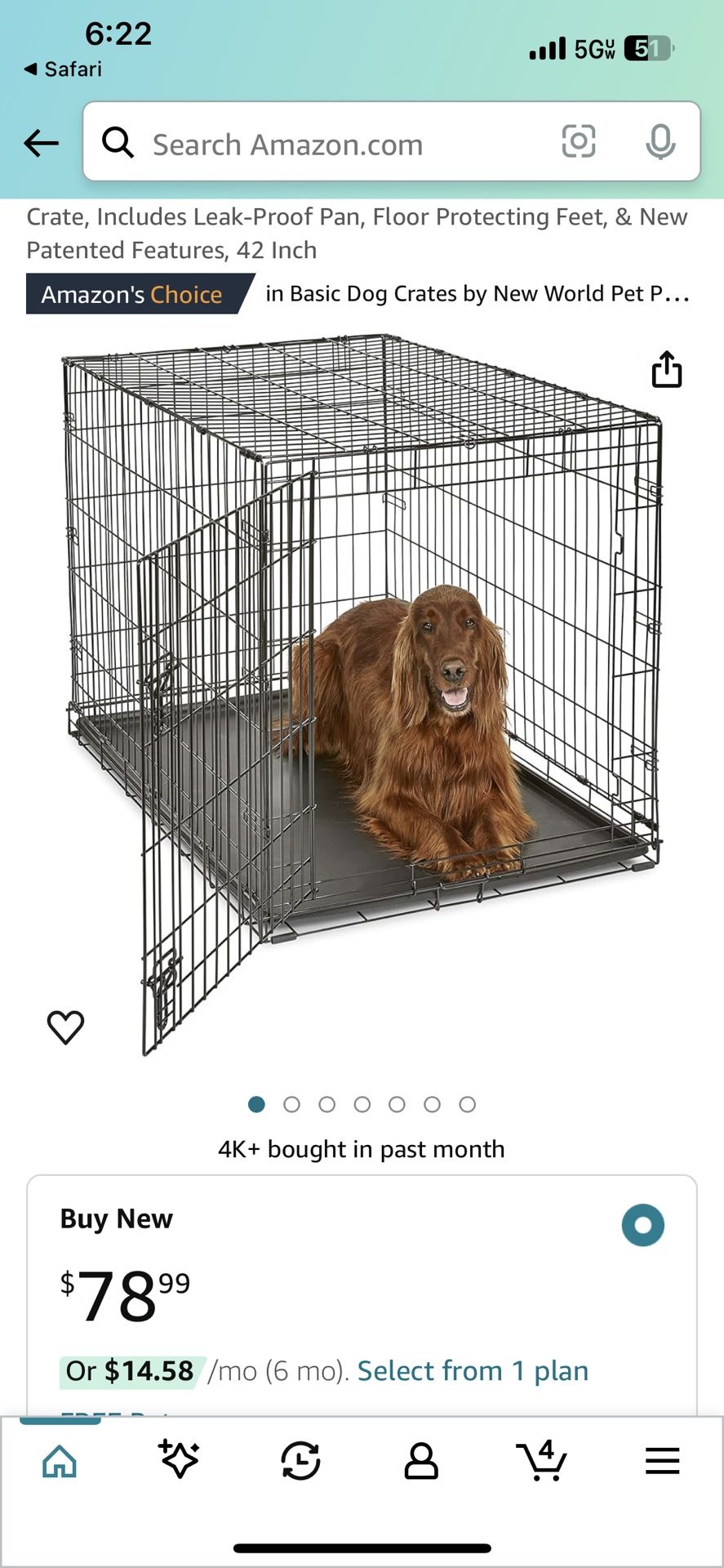 Dog kennel 