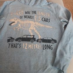 Boys Size Medium 8/10, H&M hooded Sweatshirt 