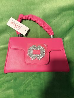 Hot Pink Dressy Evening Bag