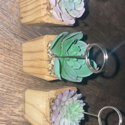 Succulent photo/card holder