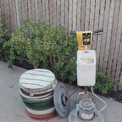 NSS Thoroughbred 175.