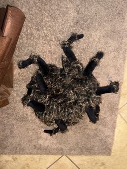 Spider costume 6-12months
