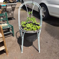 Chair Planter $24 Obo