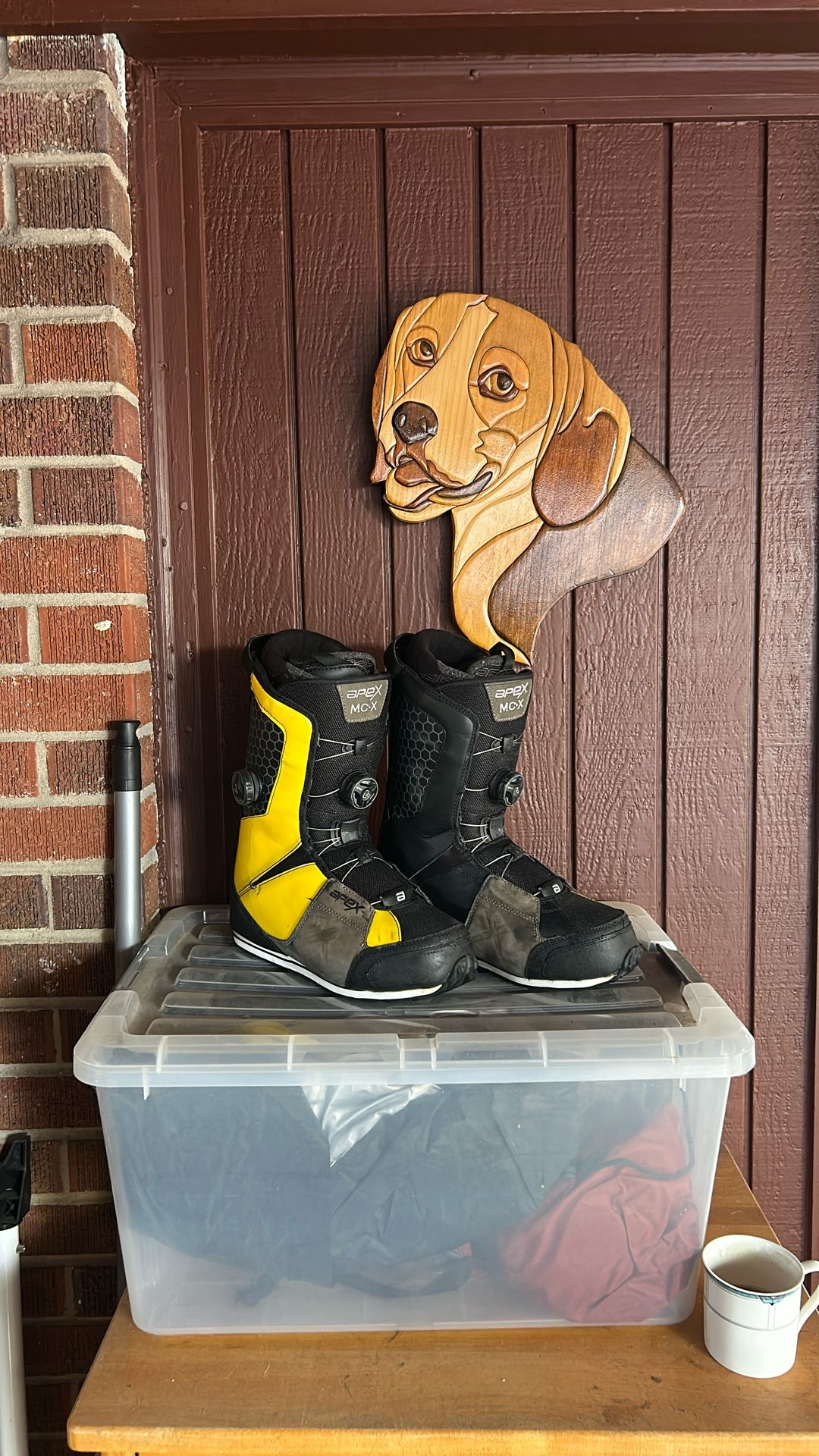 Snowboard Boot