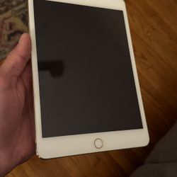 iPad Mini 4 | 128GB | Clean & Ready To Use