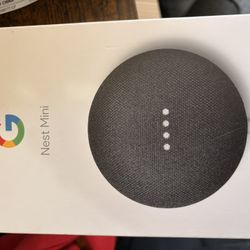 Nest Mini