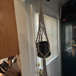 Hanging Planter With Black Pot