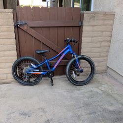 Specialized 20 Inch Fat Tire mountain Bike