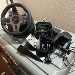 Steering Wheel Setup