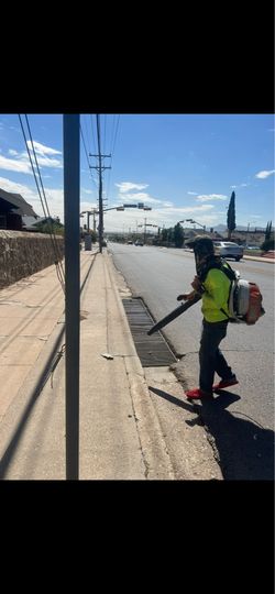 Yard clean