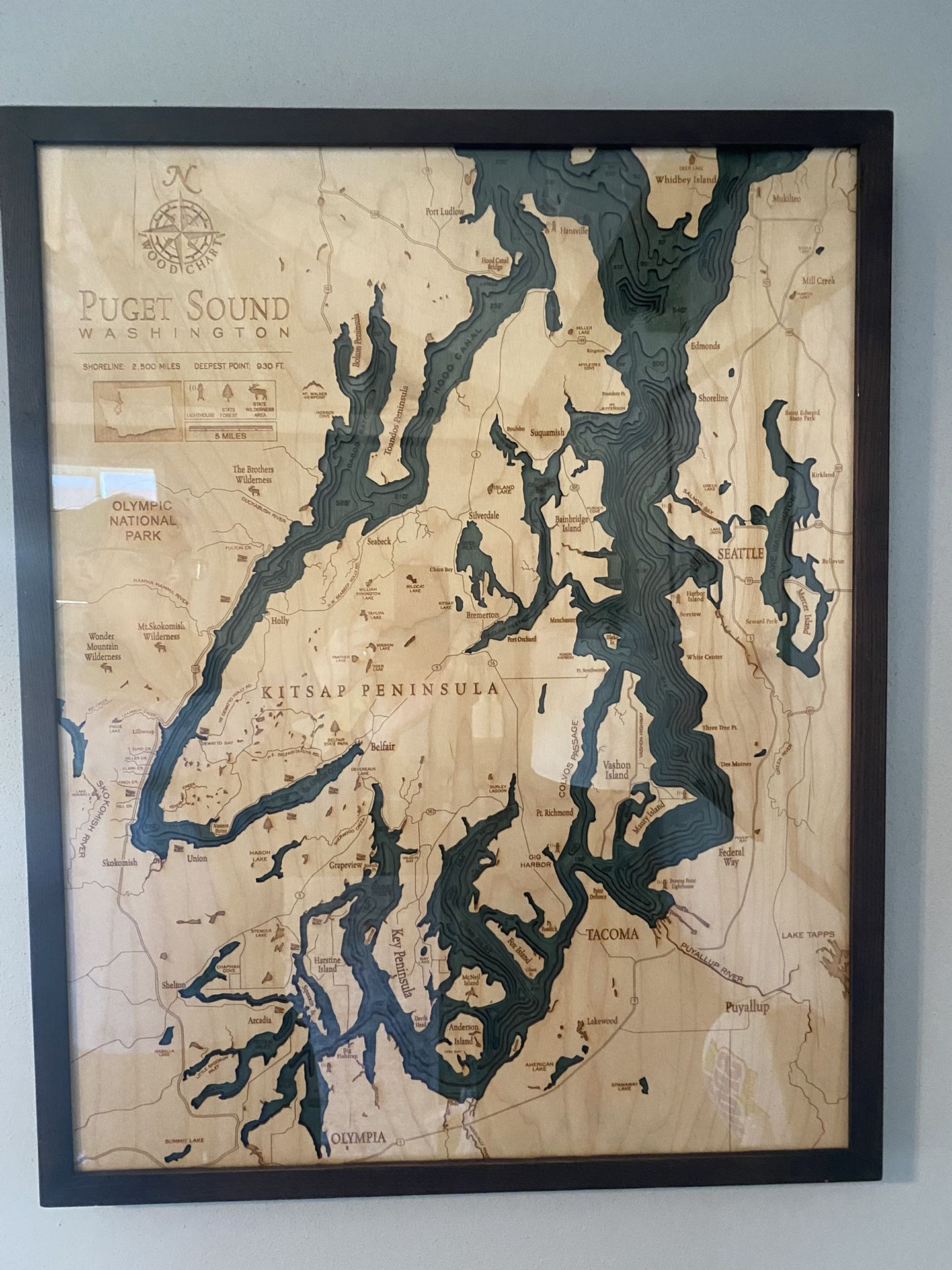 Wood Chart Art - Puget Sound