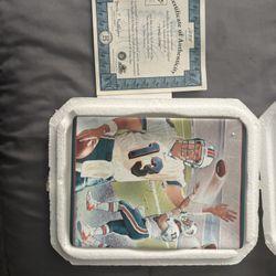Dan Marino Collectable Plate