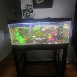 75 Gallon Fish Tank For Sale  