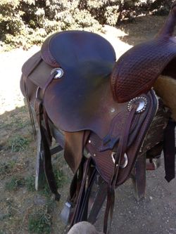 KO Elite cutting saddle 17”