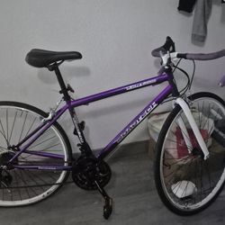 Road Tech Kent 700 Road Bike