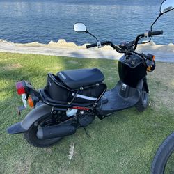 honda ruckus