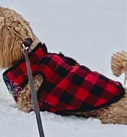 Dog Flannel Vest size M