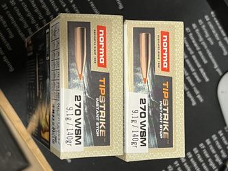 270WSM Ammunition