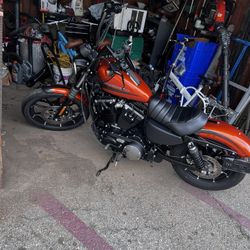 2020 Harley davidson sportster