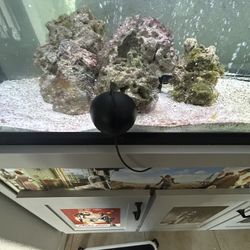 Automatic Fish Feeder 
