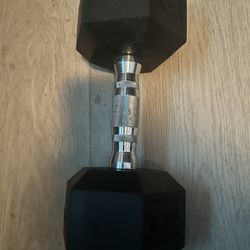 25 Pound Dumbbell