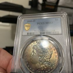 1880 O Morgan Dollar Toned