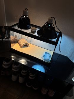 10 Gallon Reptile Tank