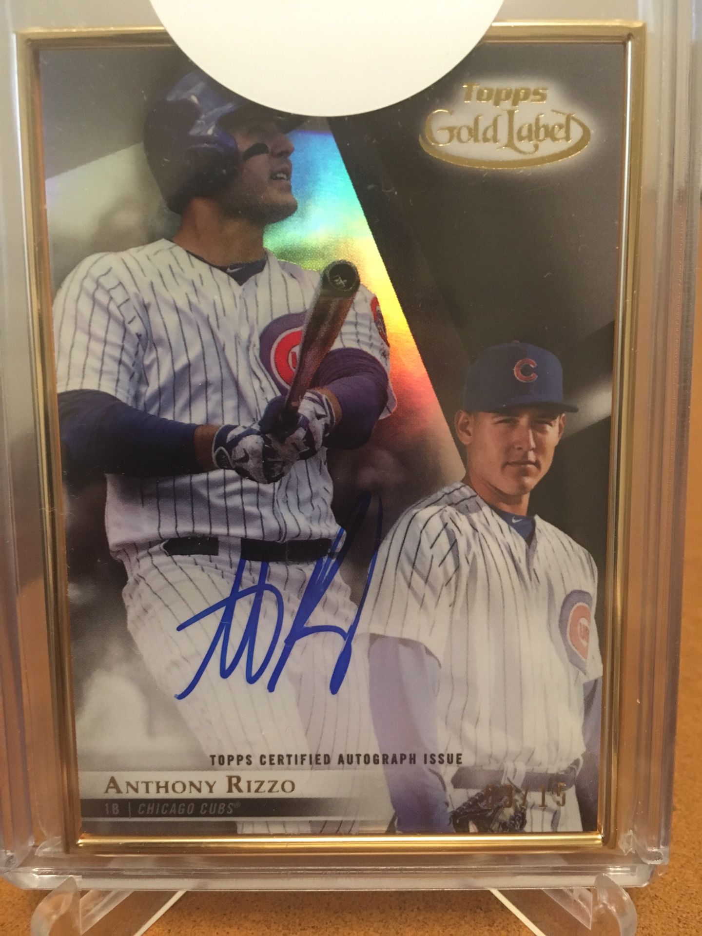 2018 ANTHONY RIZZO AUTOGRAPH / BEST OFFER