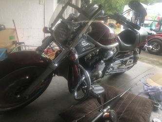 2005 Harley vrod
