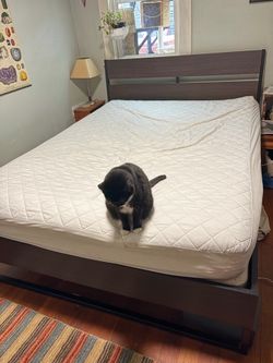 Queen bed frame