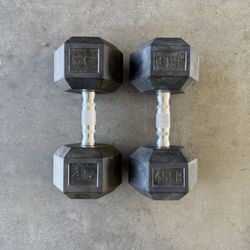 45lb Dumbbells