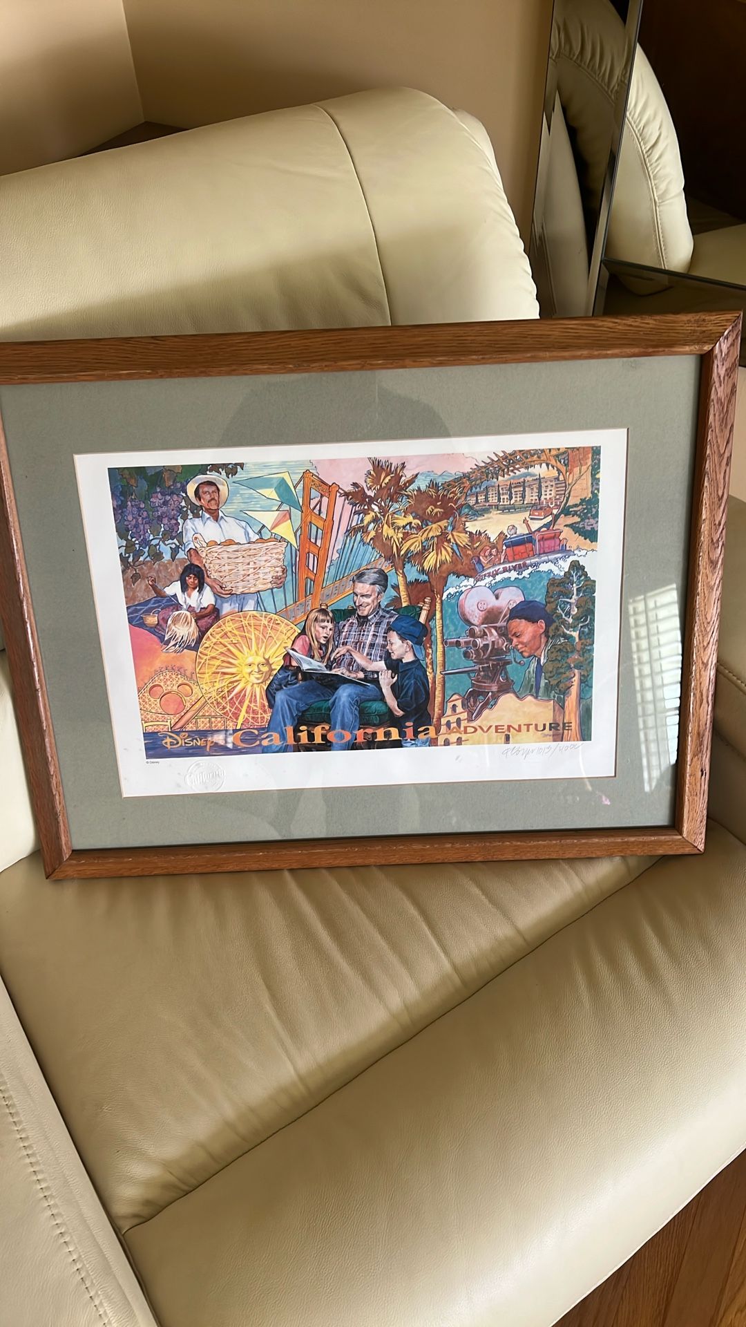Disney Collectable