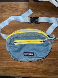 Patagonia Fanny Pack