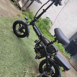 Electric Bike 500 W 