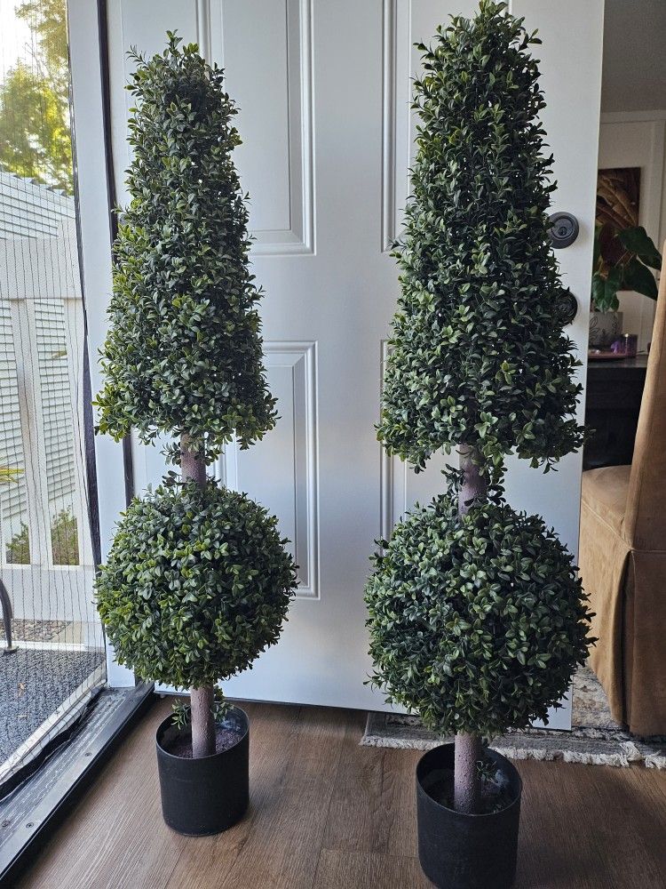 4ft Boxwood Ball and Cone Topiary Trees (2) $90 ea.