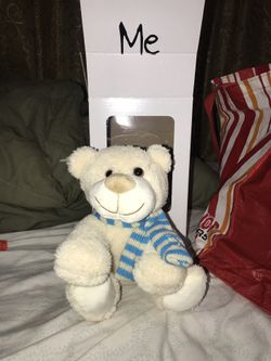 DF Teddy Bear with package