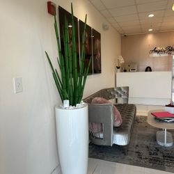 Vendo Planta Decorativa Nueva / New 