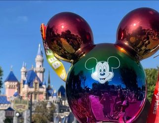 Disneyland Popcorn Bucket
