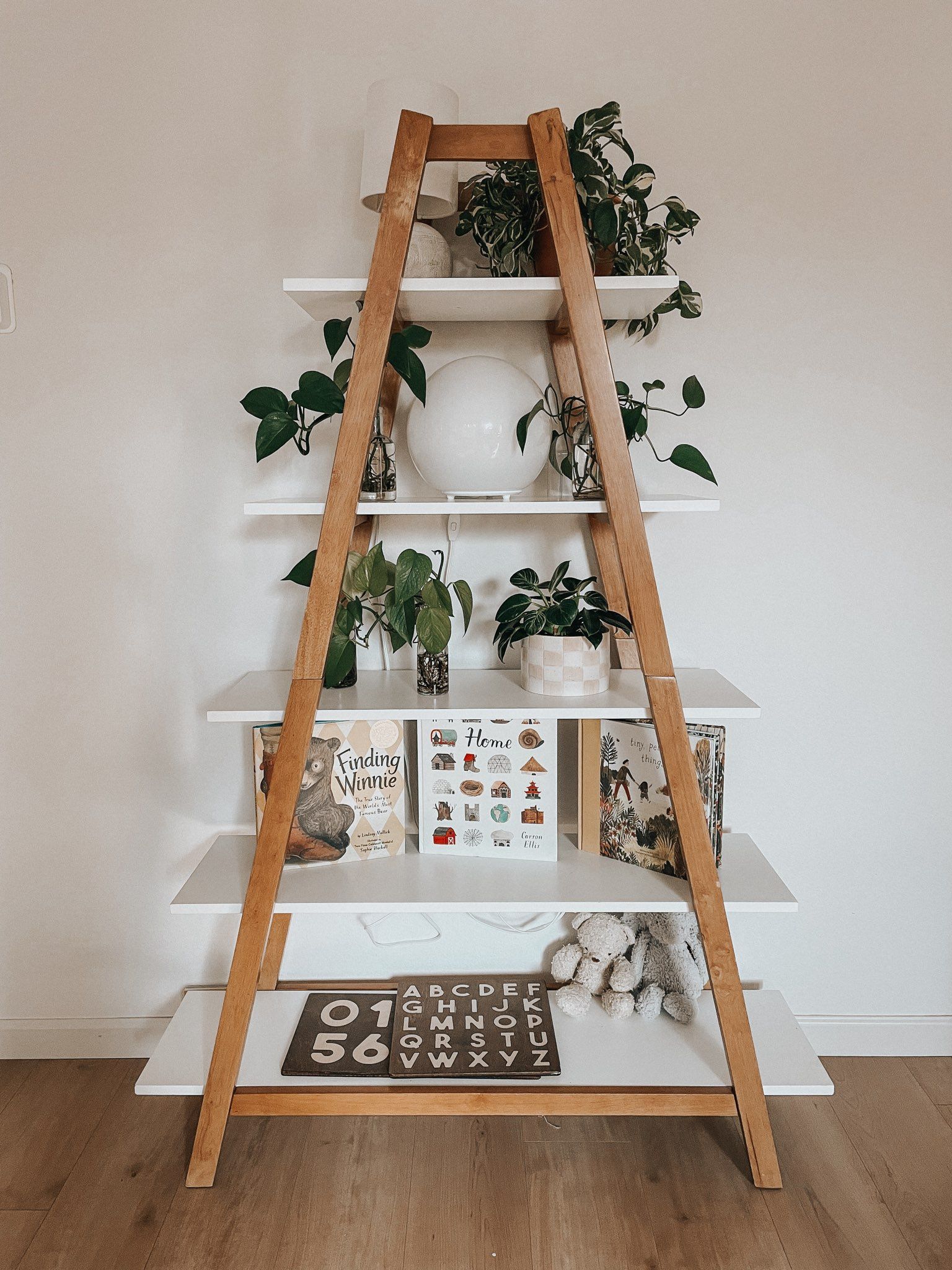 Nathan James Ladder Bookshelf
