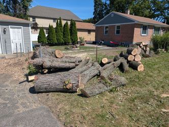 FREE FIREWOOD