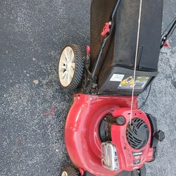 21-in Troy-Bilt Push Lawn Mower With The Bag