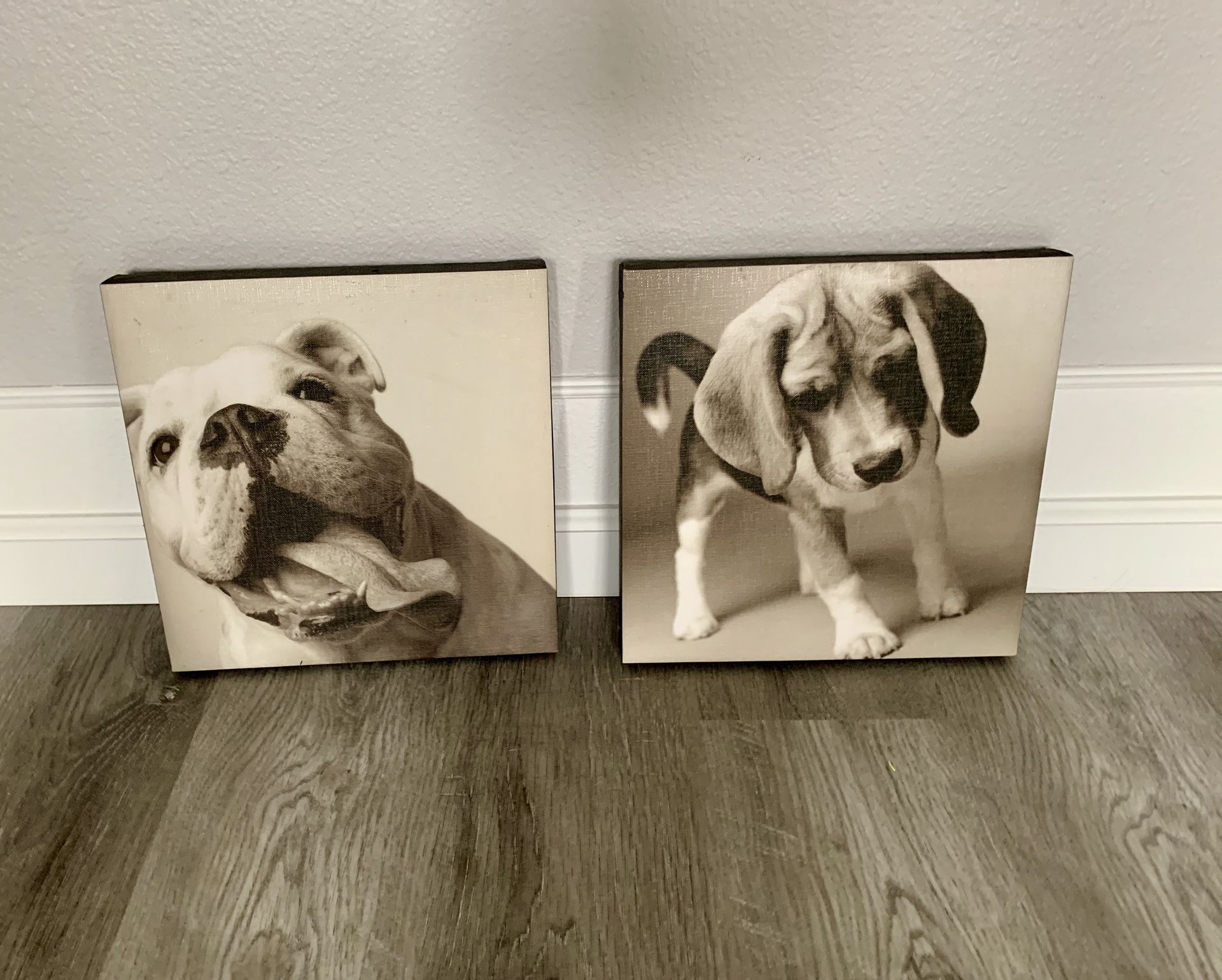 Canvas Pictures of Dogs