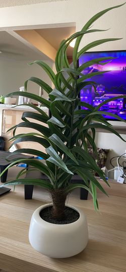 Faux Plant